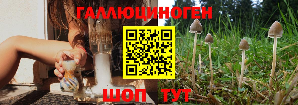 Псилоцибиновые грибы Magic Shrooms  Галлюциногенные грибы мухоморы  Набережные Челны  Вход с VPN 